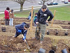 Community Orchard Planters